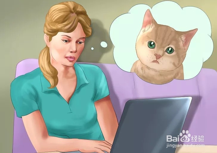 怎样照顾幼猫？