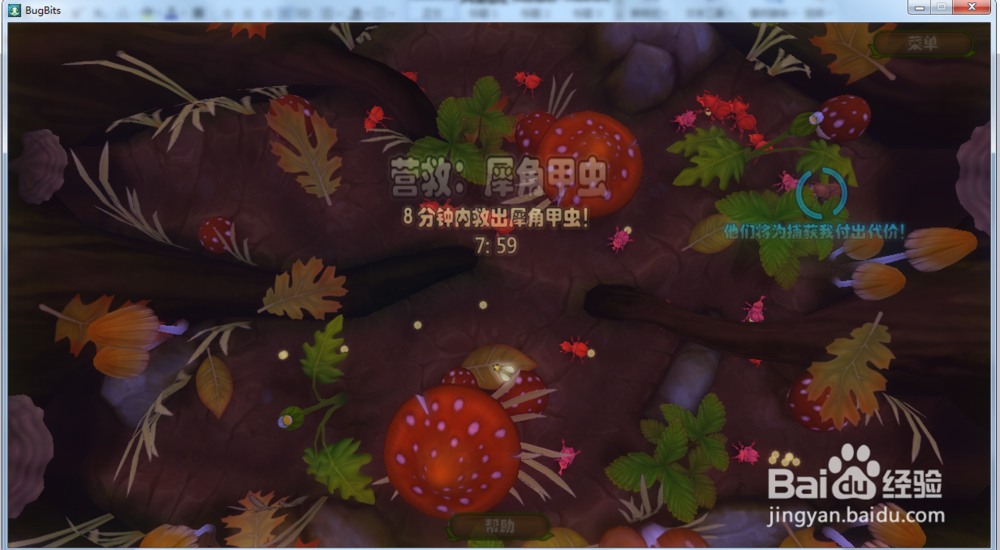 虫虫大作战—营救犀角甲虫攻略