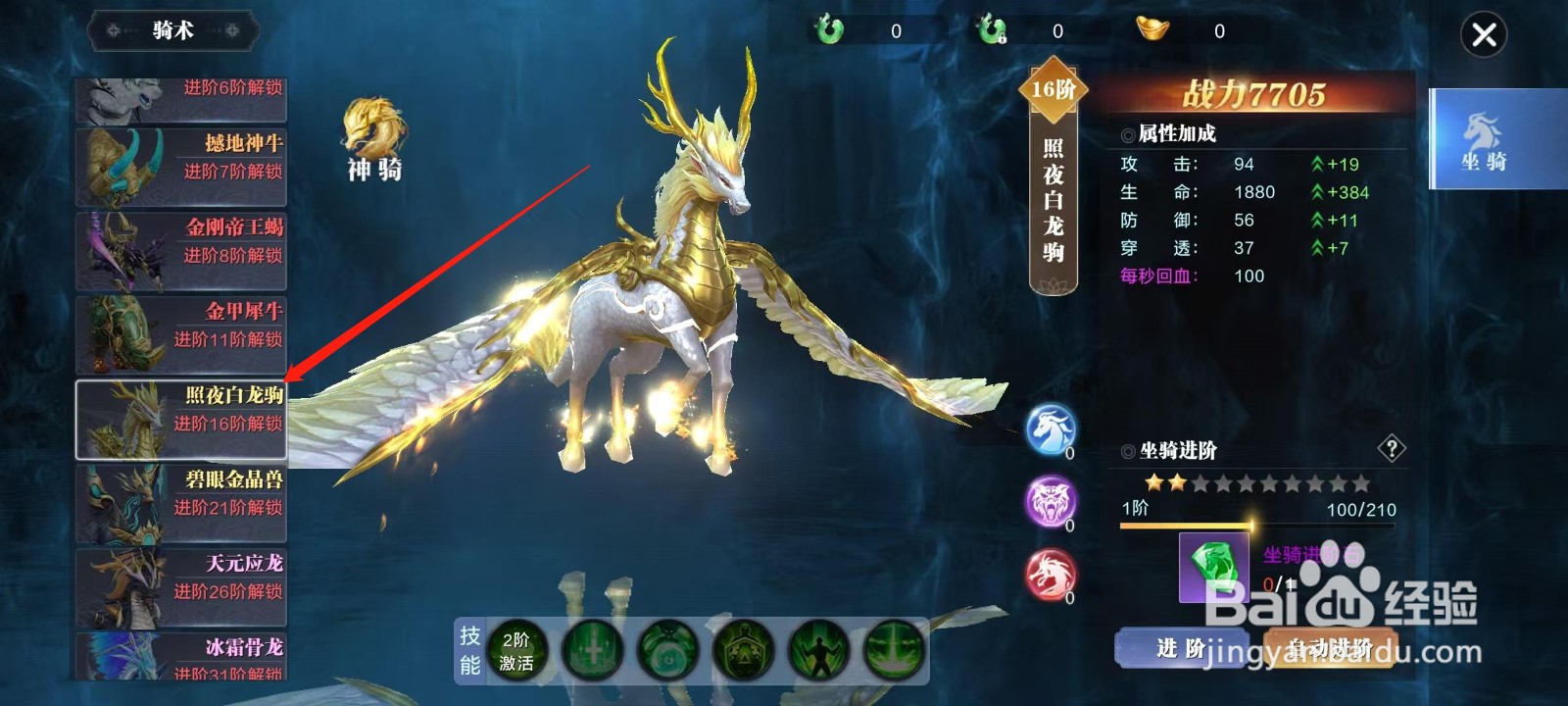 万剑至尊怎样进阶照夜白龙驹