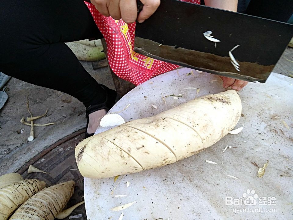 如何在家中制作萝卜炖猪肺