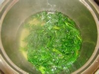 炝芹菜叶的做法