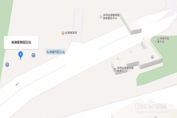 深圳仙湖植物园怎么去