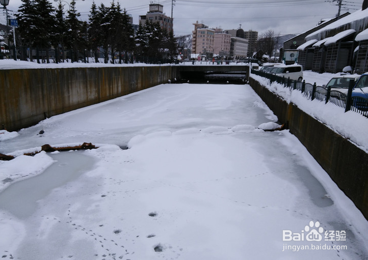 一条性价比爆棚的万元以下日本北海道观雪路线