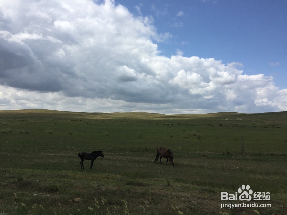暑假内蒙七日游