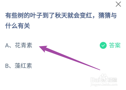 有些树叶到了秋天就会变红与什么有关?蚂蚁庄园
