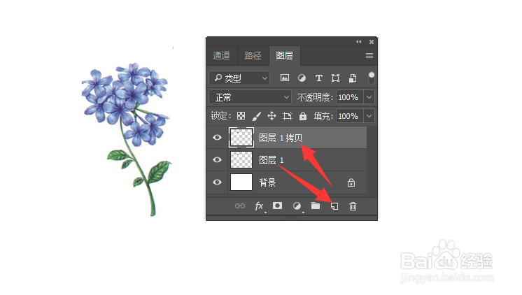 PS利用形状变形工具制作贝壳旋转效果
