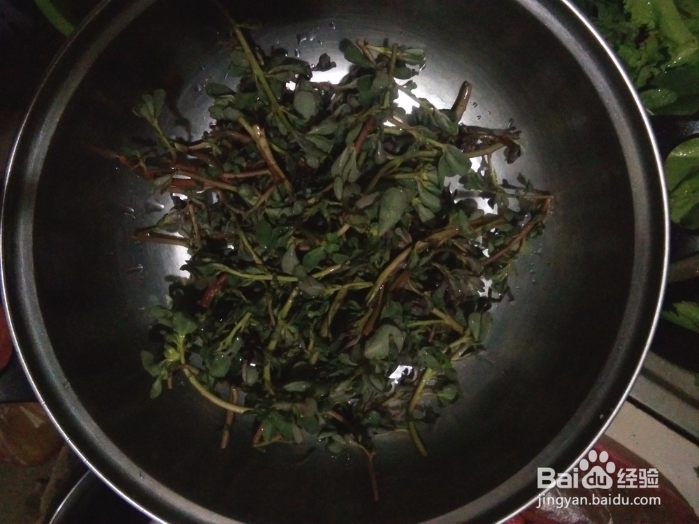 马齿菜能炒鸡蛋吗