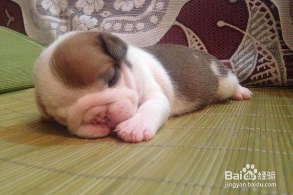 夏季睡凉席的七个注意事项!