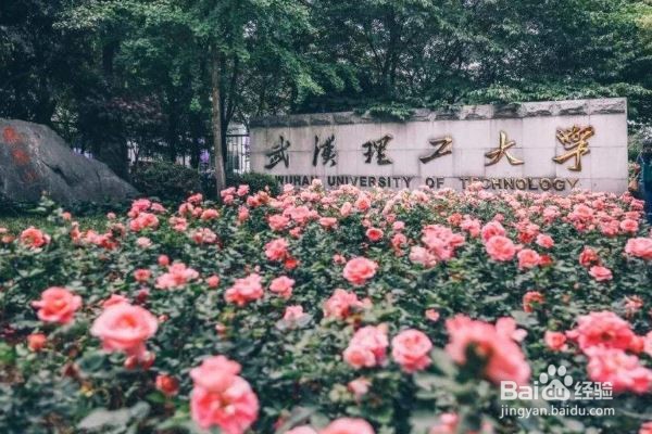 2020年国内理工大学排行榜