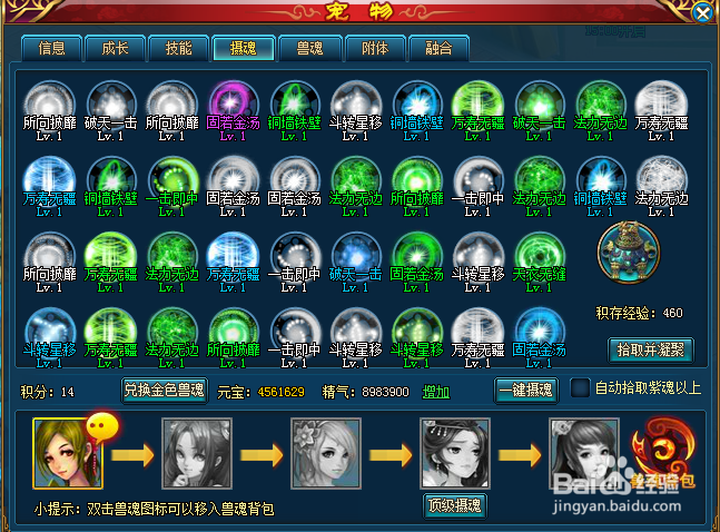 斗罗神宠物怎么摄魂 摄魂有什么用