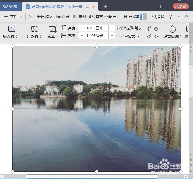 设置wps插入所有图片大小一样