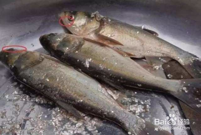 怎样祛除家里的各种难闻气味