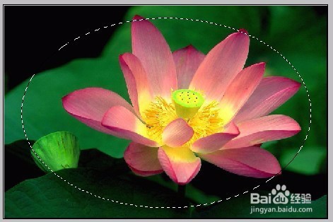 PS图层蒙版的应用