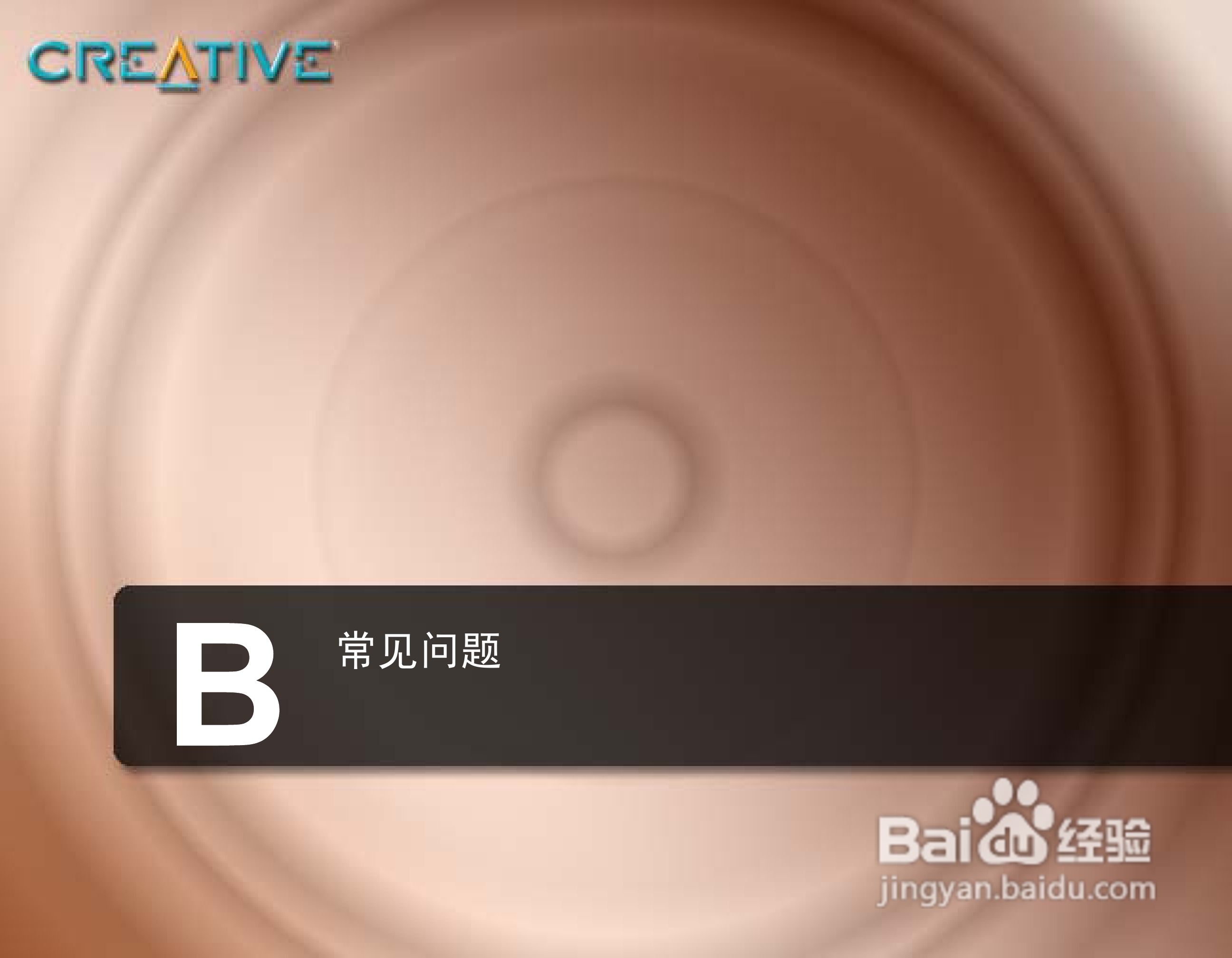 MUVO2 FM MP3播放器中文使用说明书:[6]