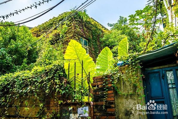 来厦门旅游必做的九件事是怎样的？