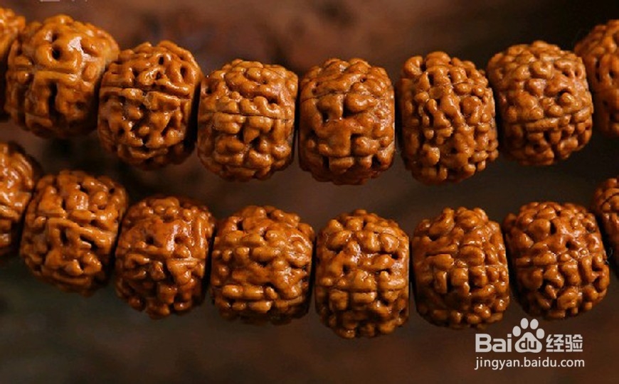 金刚菩提子如何养护