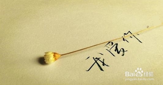 25岁之后如何对待爱情