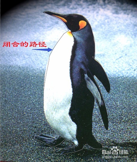 PS实例:抠图方法、技巧集合(二)