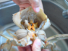 清蒸螃蟹de做法