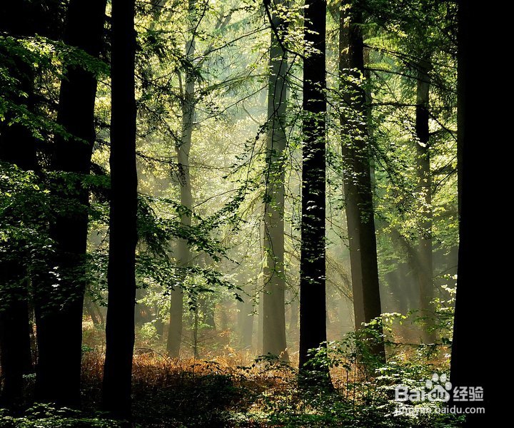 凉山森林火灾，我们以后遇到该怎么办？