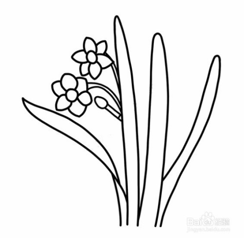 花卉简笔画教程