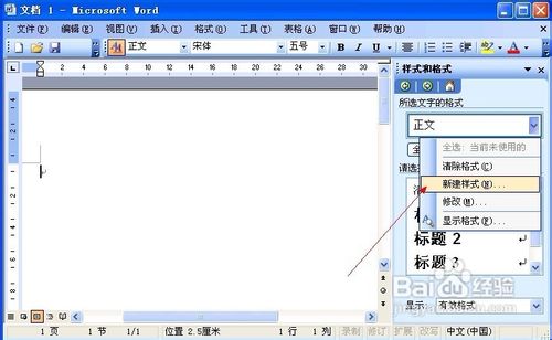 Word 2003怎样新建样式
