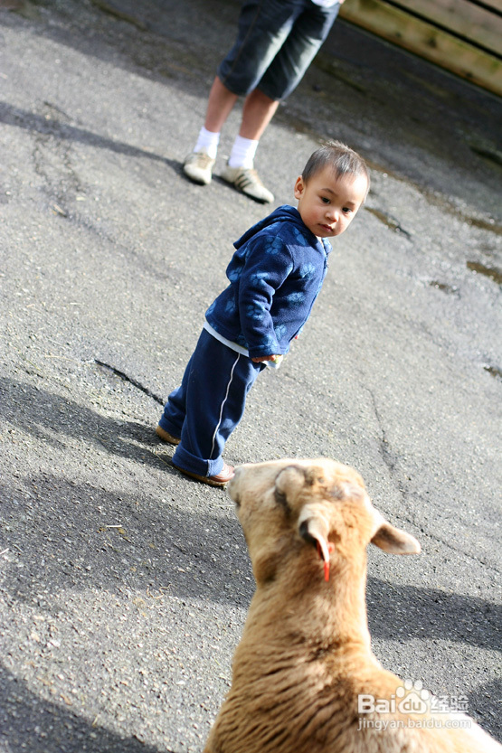 拾海的孩子&亲亲小动物(组图)