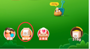 蚂蚁庄园噪声是否会对眼睛和视力造成影响