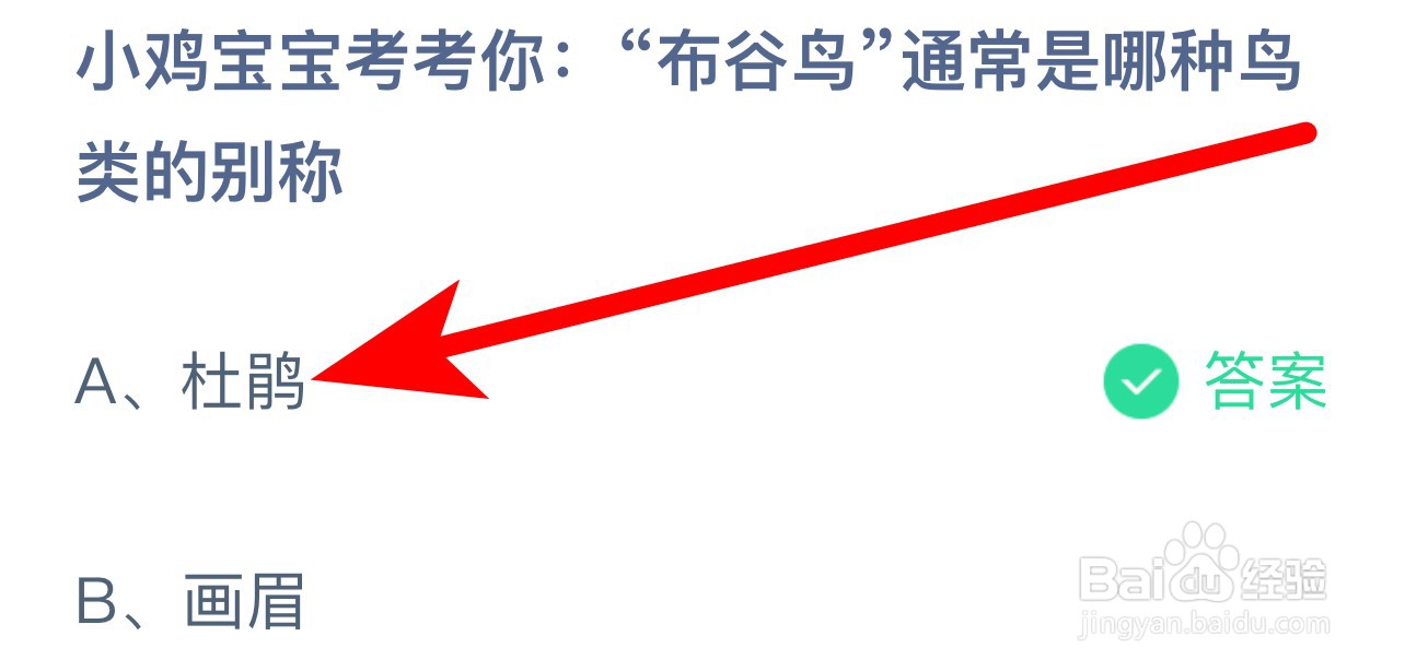 蚂蚁庄园答案“布谷鸟”通常是哪种鸟类的别称？