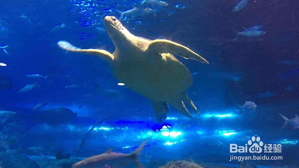 南京旅游亲子游攻略