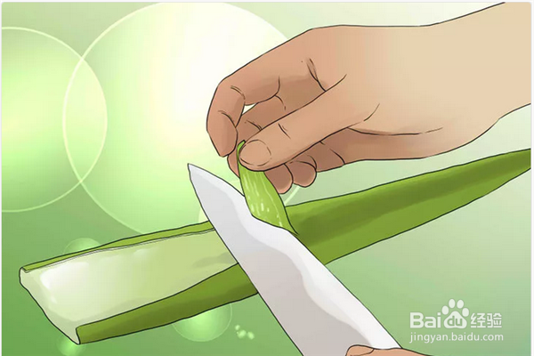 如何用芦荟治疗晒伤？芦荟缓解晒伤方法
