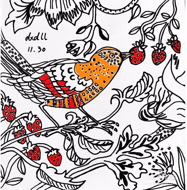 茉莉水彩手绘之富贵吉祥鸟