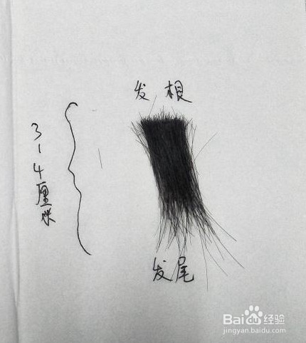 华高毛发毒品检测仪检测样本的采集和保存