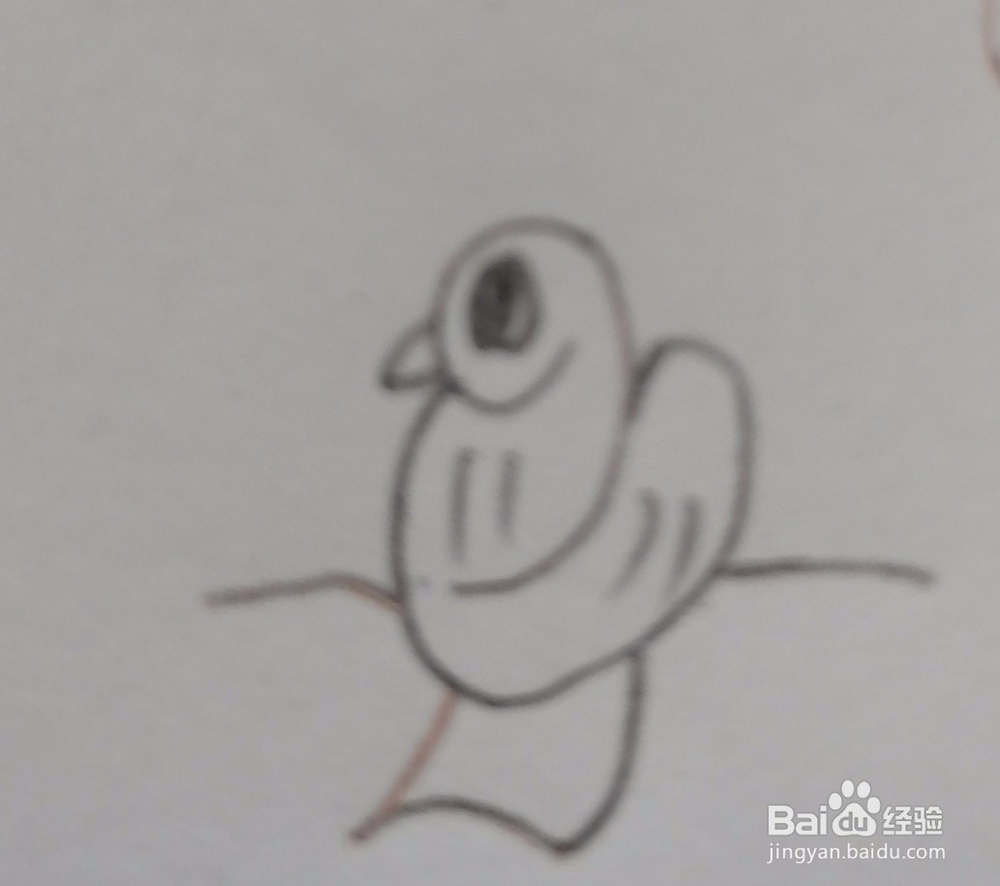 如何用数字5-9画出小动物呢？（下）