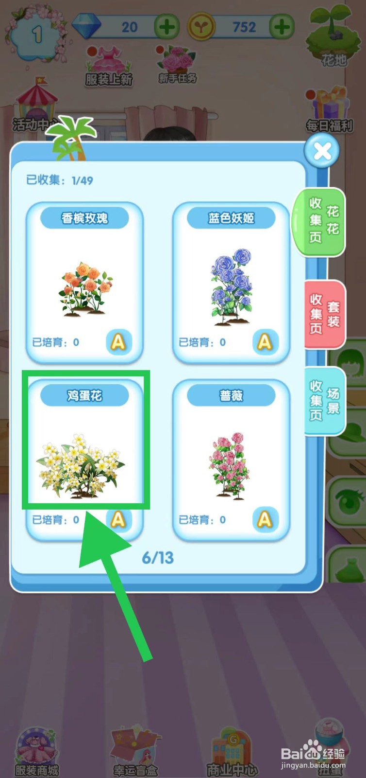 花花姑娘之魔法花园怎么查看鸡蛋花的简介