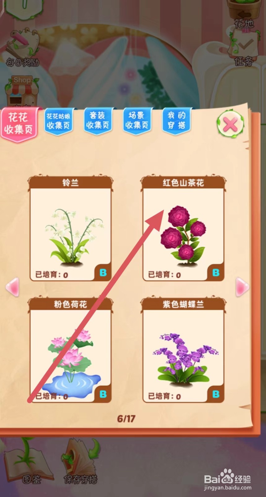 花花姑娘怎么查看红色山茶花的生长速度