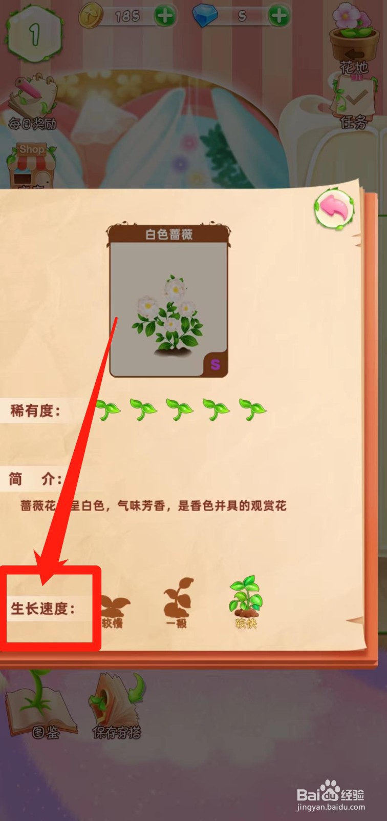 花花姑娘之魔法花园如何查看白色蔷薇生长速度