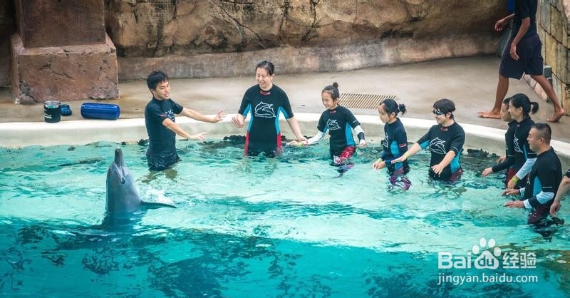 新加坡旅游简记21