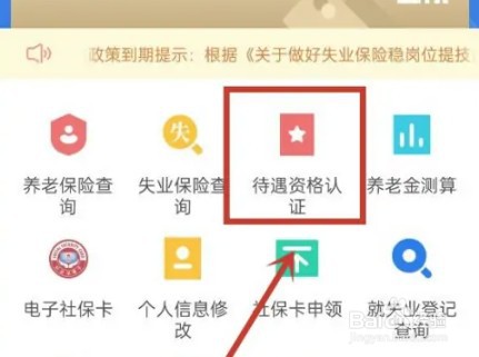 河北人社认证怎么操作