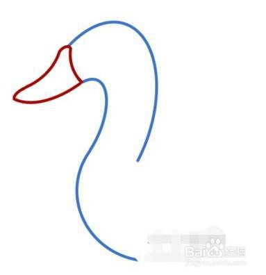 伴儿成长简笔画系列-怎样画白天鹅简笔画