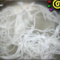 贡茶店里的小鲜肉——抹茶水羊羹