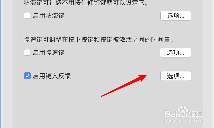 mac电脑怎么设置键入反馈功能不显示回显字词