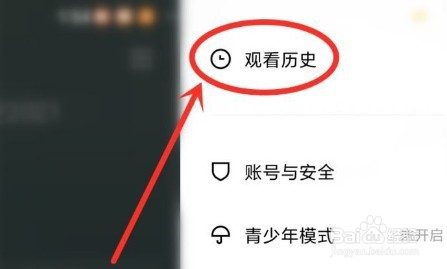 青桃怎么清空浏览记录