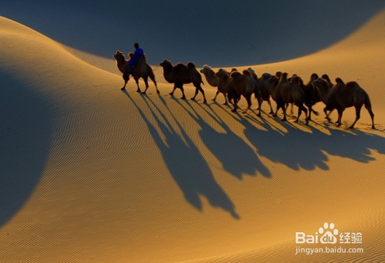 十一金昌旅游5大旅游攻略