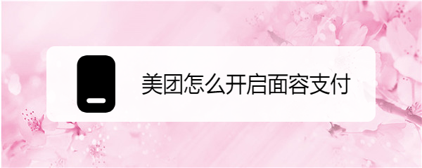 美团怎么开启面容支付