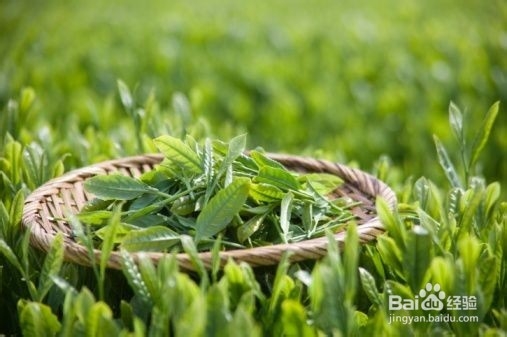 家中必不可少的东西