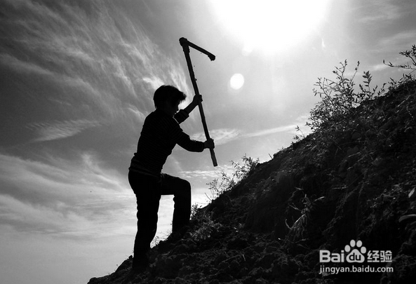 如何提高微博粉丝量（超实用）