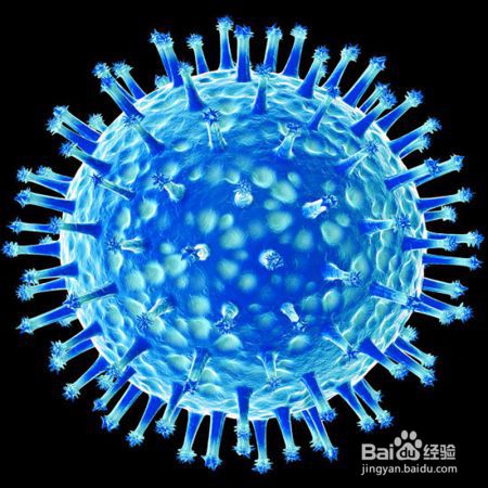流感不是感冒  战略上需要高度重视
