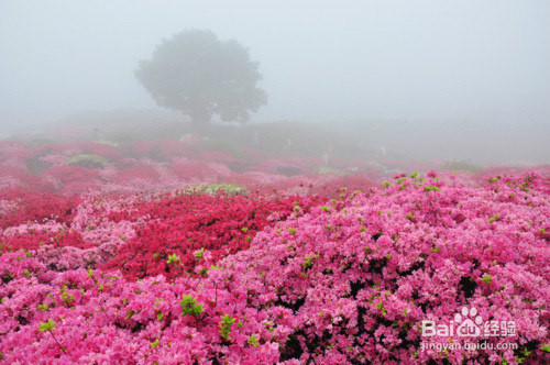 如何防止晕车，晕车小妙招
