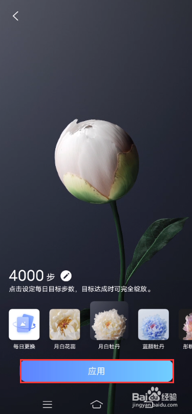 vivo X60如何设置行为壁纸
